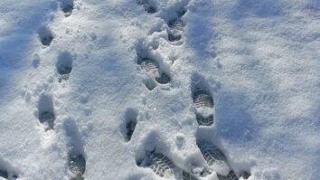 Oktobra se je s sveto mašo v Straßburgu in pogovornimi krožki v 13 farah tudi na Koroškem začel sinodalni proces za Cerkev prihodnosti. Ta proces traja dve leti in nagovarja […]
