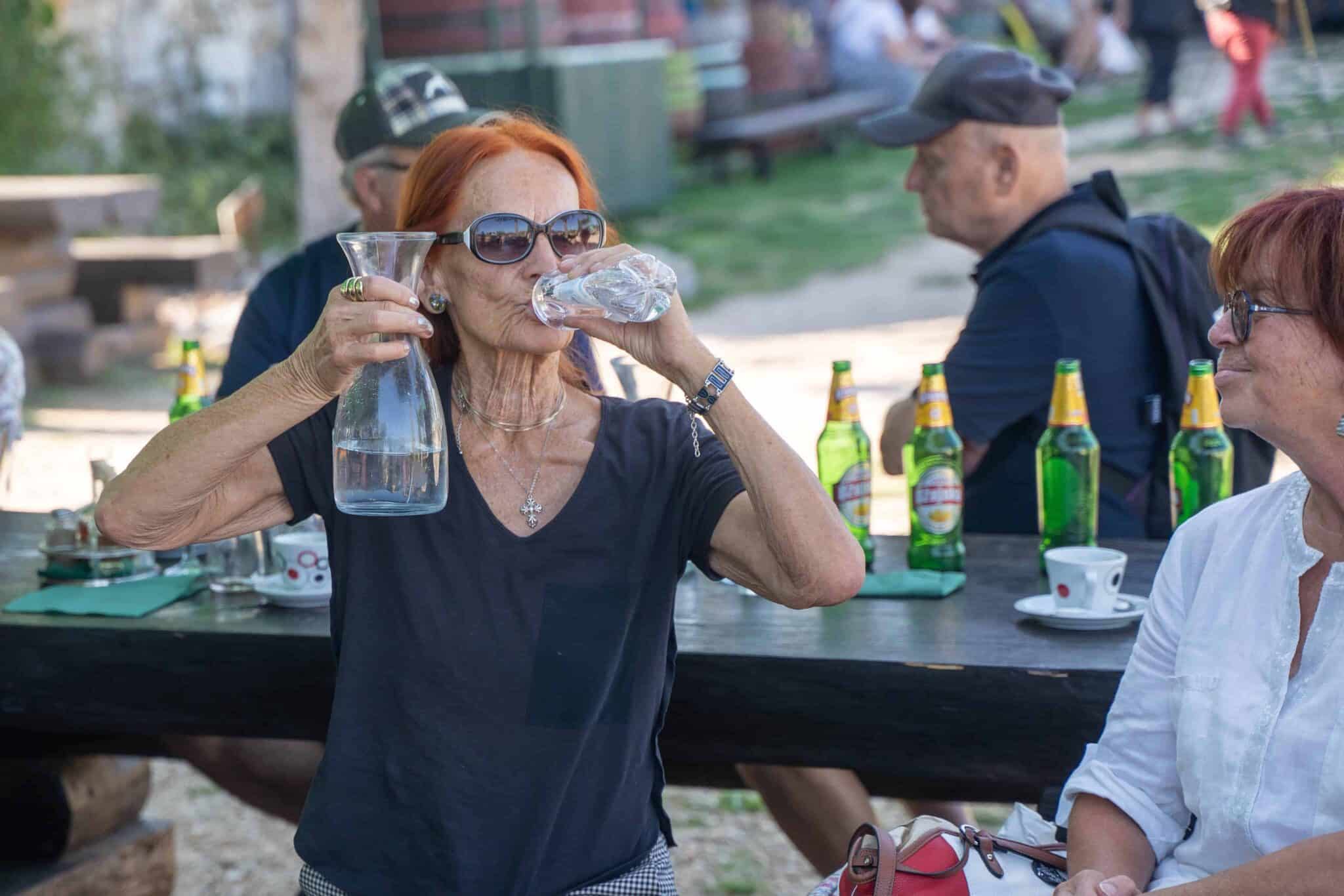 Dunaj: Monokomedija »Lara Vouk: Pokržnikov Luka«