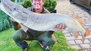 Nedavno smo pisali o tem, da je Andrej Reichmann ujel 133 cm dolgo ščuko.  Izredno ribolovsko srečo pa je konec maja imel tudi njegov bratranec Jernej Einspieler. V Dravi pri […]