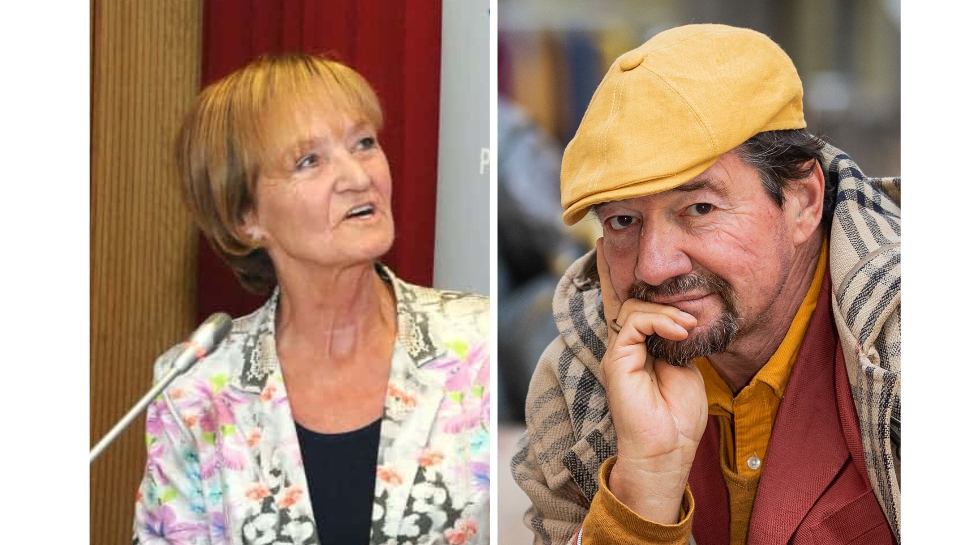 Okno v svet »Narodne skupnosti na obeh straneh meje – izkušnje, ki sem jih doživel.«
