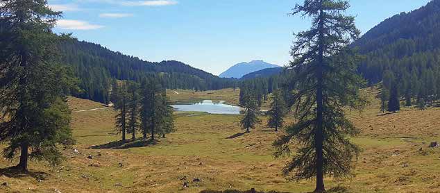 Konferenca Skupno 2025: Pohod po Brški planini na Zilji