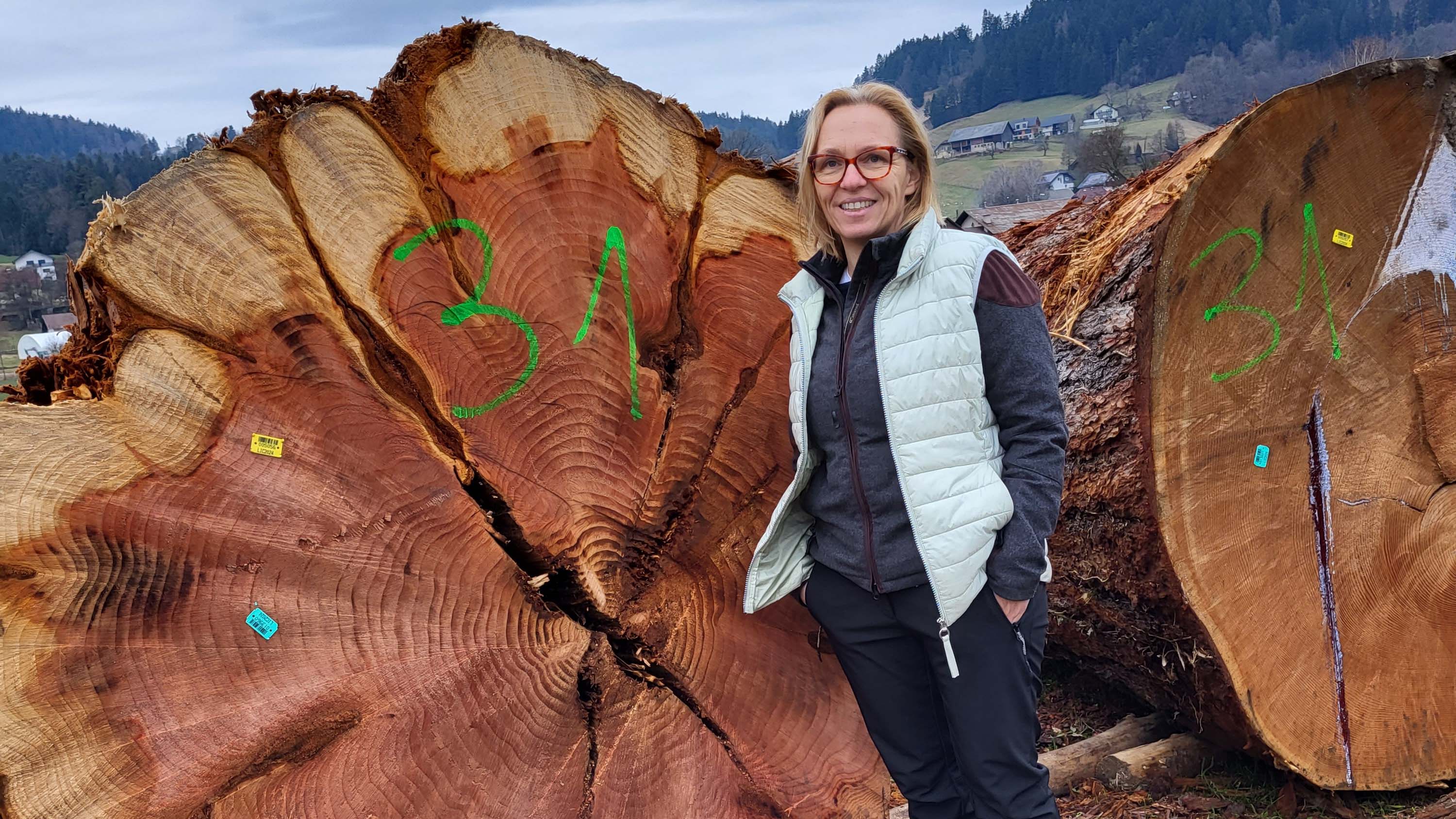 20. Licitacija vrednostnega les