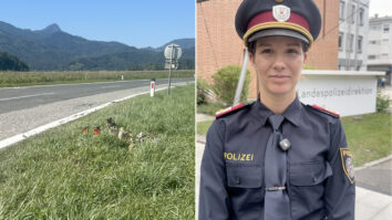Zastopnica policije Lisa Sandrieser je povedala, da preiskovalci sledijo več različnim sledem. Skupina za ogled kraja kaznivih dejanj Deželnega kriminalističnega urada je na kraju zavarovala več kovinskih oziroma drugih drobnih [&hellip;]